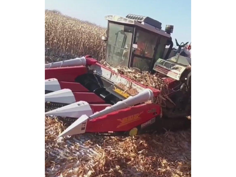 喜盈盈多功能雜糧割臺收割效果視頻