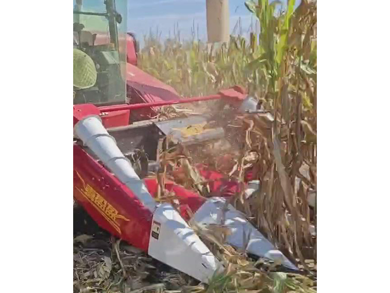 喜盈盈多功能雜糧割臺收割效果視頻