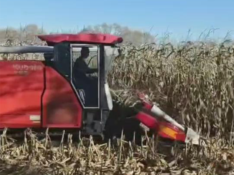 喜盈盈多功能雜糧割臺收割效果視頻