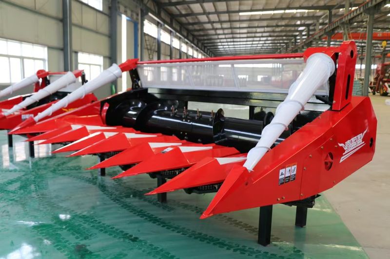 微信圖片_20250114114802